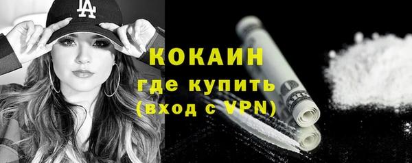 шишки Аркадак