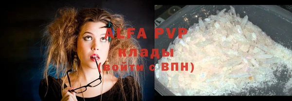 шишки Аркадак