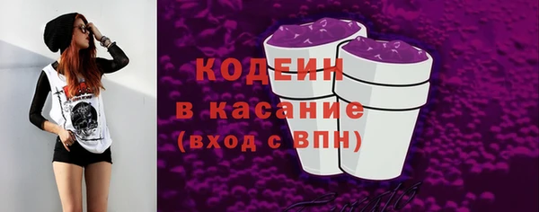 шишки Аркадак