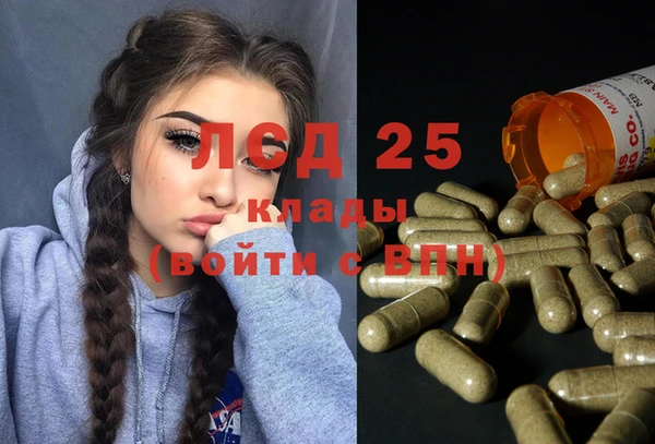 шишки Аркадак