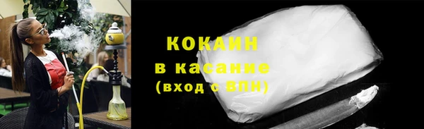 шишки Аркадак