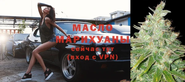 шишки Аркадак