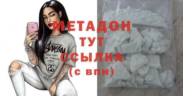 шишки Аркадак