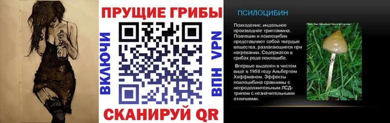 Галлюциногенные грибы ЛСД  MEGA ONION  Змеиногорск 